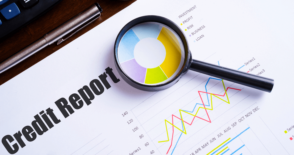 Credit Report