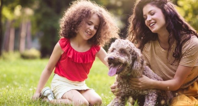 Convert your pet playtime into earning time and make your pets happy